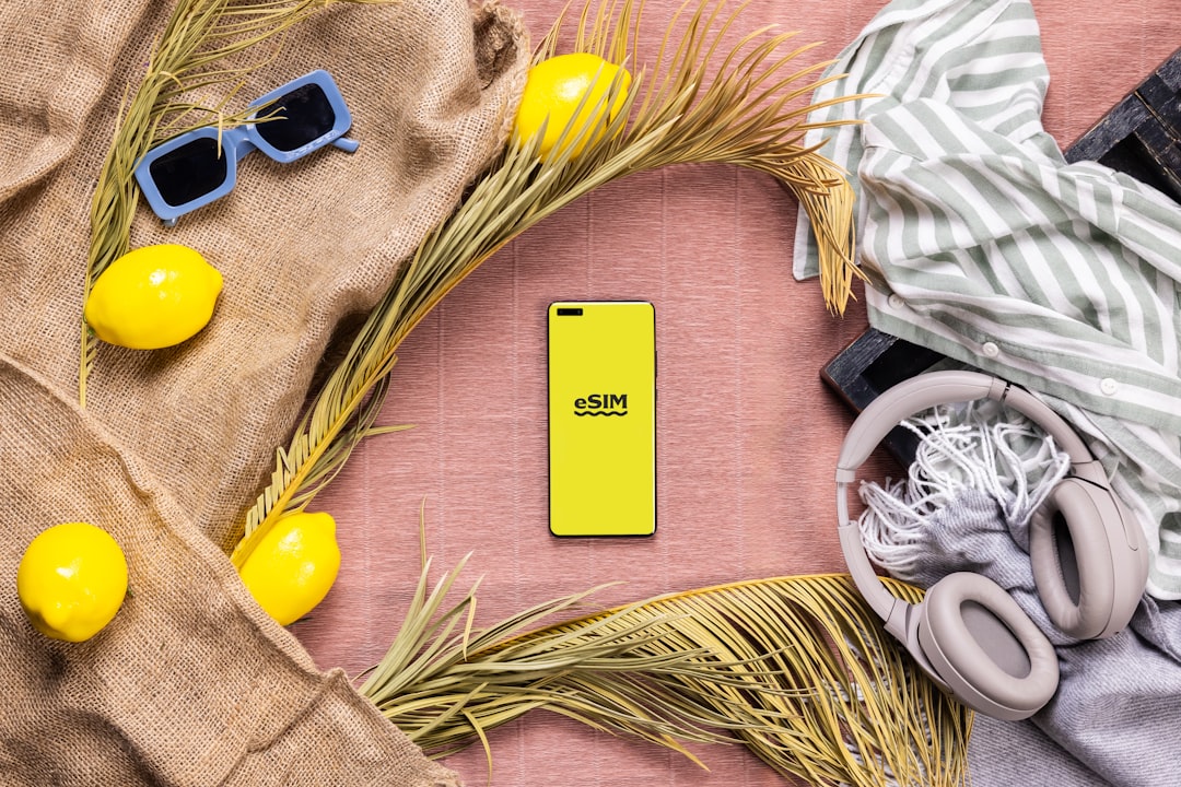 creative-03 eSIM service during summer vacation